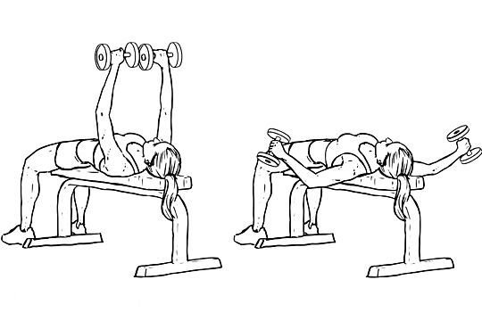 Flat Dumbell Fly Flat Dumbell Fly